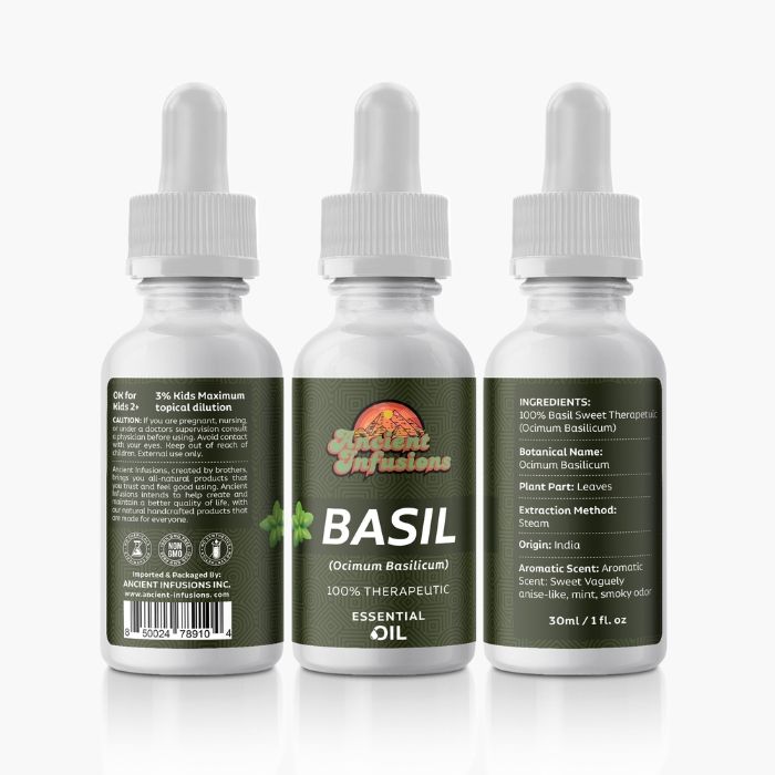 Experience the Benefits and Uses of Sweet Basil Therapeutic Essential Oil by Ancient Infusions: Nature's Remedy for Wellness and Vitality.