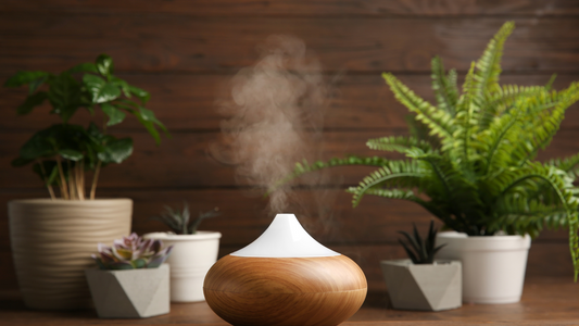 Transforming Spaces: Guide to Diffusers and Essential Oil Blends for Harmonious Environments.