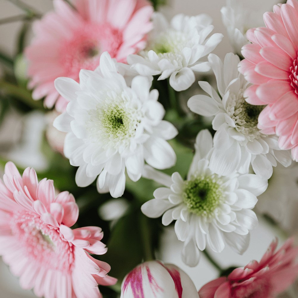 Romantic floral fragrance collection by Ancient Infusions