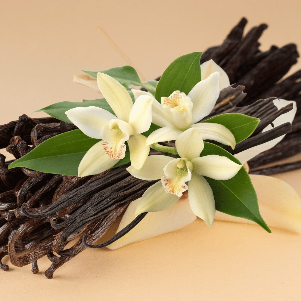 Warm vanilla fragrance collection by Ancient Infusions