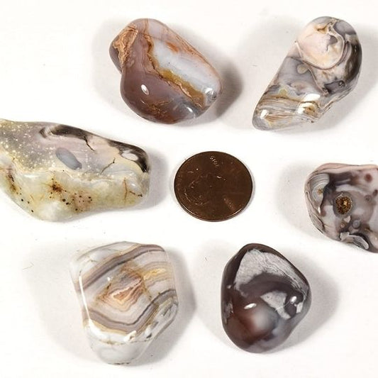 Ancient Infusions Botswana Agate Healing Stones - Crystal Tumbles for Stress Relief, Creativity, and Holistic Well-Being.