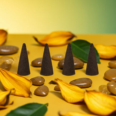 Lemon Incense Cones on stones with leaves and shells in the background