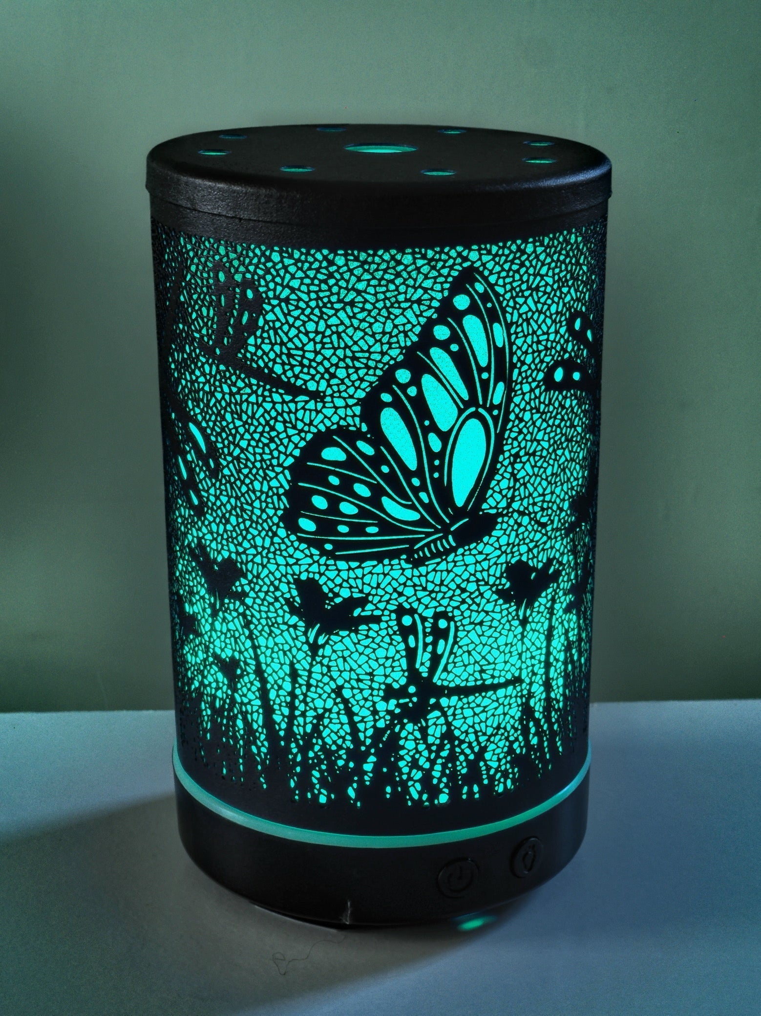 Mesmerizing butterflies and dragonflies essential oil diffuser.