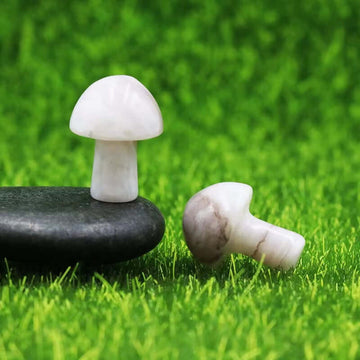 Ancient Infusions White Agate Carved Mushroom - Embrace the tranquil guardian of purity. Front view highlighting the clarity and purity of White Agate.
