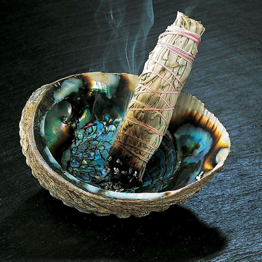 4-Inch Native White Sage Smudge Stick - Spiritual Cleansing and Purification Benefits.