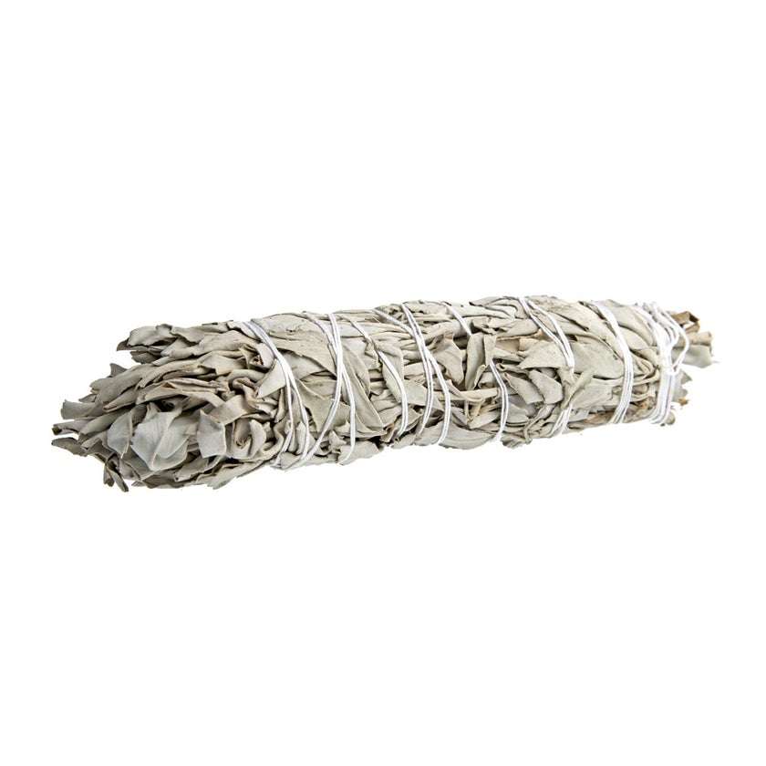 8-Inch Native White Sage Smudge Stick - Benefits for Spiritual Cleansing and Meditation.