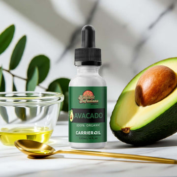 Organic avocado oil carrier oil by Ancient Infusions – 100% pure cold-pressed oil for skin hydration, hair care, and natural nourishment.