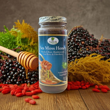 Sea Moss Herbal Honey jar with honey dipper, sea moss, and herbs in natural setting