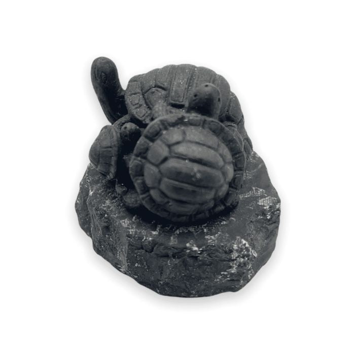 Discover spiritual wisdom with our 2-inch Shungite Crystal Carved Turtles Sculpture.