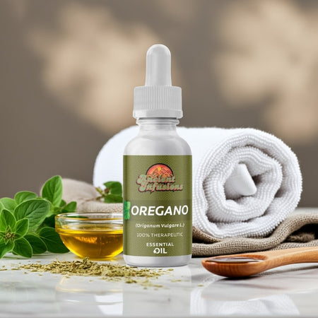 Therapeutic oregano essential oil by Ancient Infusions – 100% pure aromatherapy oil for immune support, natural cleansing, and respiratory health.