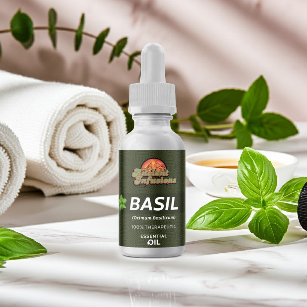 Therapeutic sweet basil essential oil by Ancient Infusions – 100% pure aromatherapy oil for focus, stress relief, and respiratory support.
