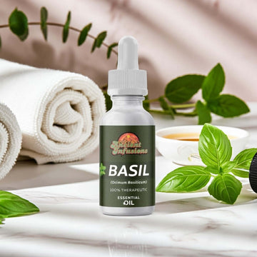 Therapeutic sweet basil essential oil by Ancient Infusions – 100% pure aromatherapy oil for focus, stress relief, and respiratory support.
